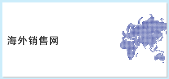 海外销售网
