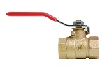 Image:BLV-1