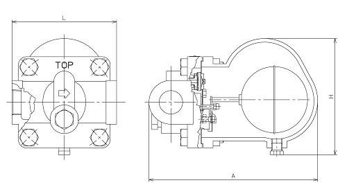 Dimensional drawing：TSF-12